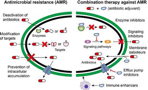 Drug Discovery for Ovarian Cancer: New Treatment Strategies