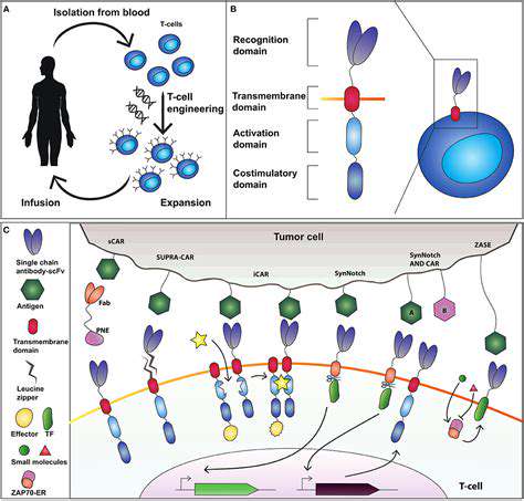 CustomizingImmunotherapywithSyntheticBiology
