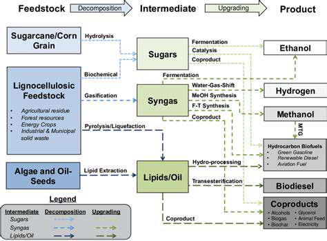Synthetic Biology for Sustainable Biofuels