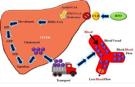 DesigningNovelMetabolicPathwaysforBiopharmaceuticalSynthesis