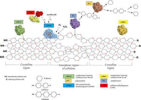 Synthetic Biology for Bioremediation Efforts