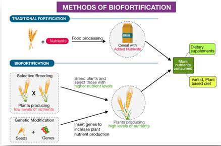 Biotechnology's Role in Global Health Initiatives