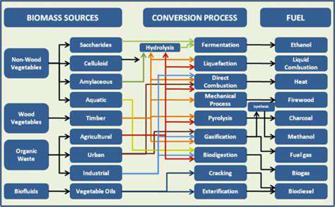 IntroductiontoBioenergyConversion