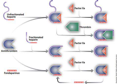 The Role of RNA Guided Nucleases in Gene Editing