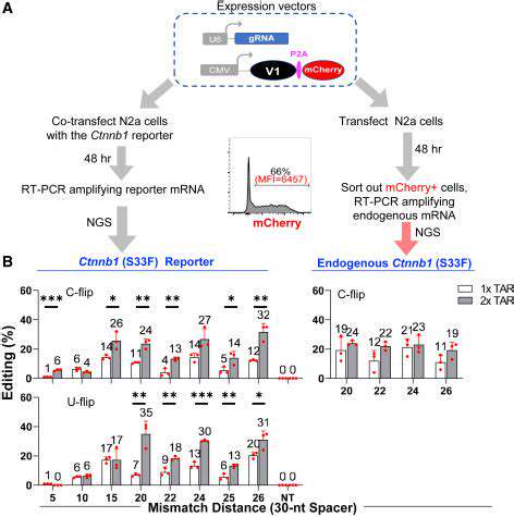 Exploring New Nucleases for Gene Editing