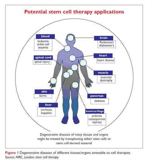PotentialTherapeuticApplications:RepairingDevelopmentalDefects