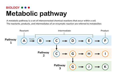 TailoringMetabolicPathwaysforDesiredOutputs