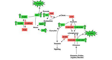 Synthetic Biology for Biofuel Production