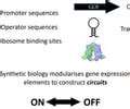 TheBuildingBlocksofSyntheticBiology
