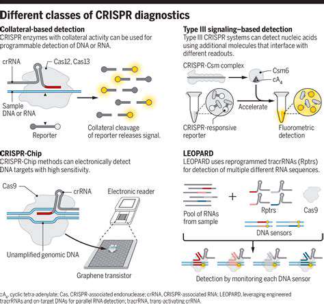 TheCRISPR-CasSystem:APowerfulToolforDiagnostics