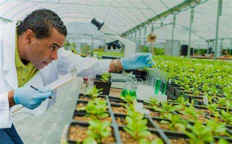 Biotechnology's Economic Impact: Driving Innovation