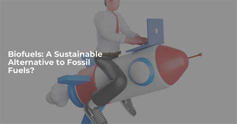 Biofuels:ASustainableAlternativetoFossilFuels