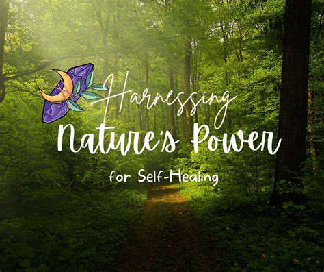 HarnessingNature'sPower:Bio-BasedIngredientsforEnhancedEfficacy