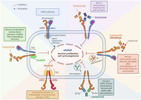 MechanismofAction:ATargetedApproach