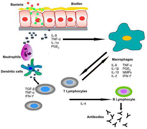 ModulatingInflammationandPromotingImmuneResponse