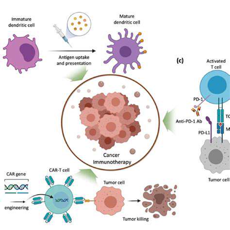 ModulatingtheImmuneResponseforEnhancedAnti-CancerActivity