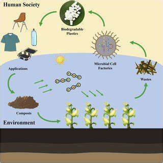 ResourceProductioninSpace:FromMicrobestoMaterials