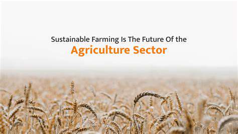 Synthetic Biology in Agriculture: Beyond GMOs