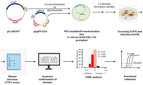 CRISPR-Cas9:APowerfulToolforGeneEditing