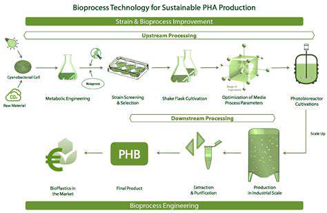 The Power of Bioprocess Engineering in Biotechnology