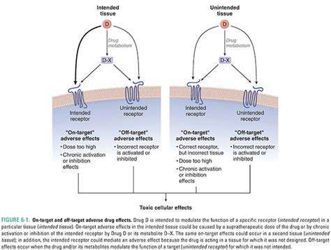 Gene Editing for Rare Diseases: Current Status