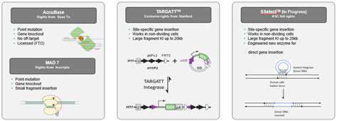 Gene Editing for Hearing Restoration