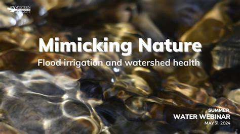 Synthetic Biology for Bio Inspired Design: Learning from Nature